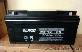 广东雷诺士蓄电池MF65-12