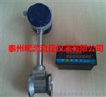 江苏天然气流量计