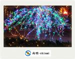 led节日装饰彩色灯串 led string light supplier