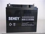 黑龙江SEHEY蓄电池SH250-12电厂电站电瓶12V250AH后备电池