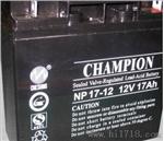 蓄电池NP100-12|12v100ah