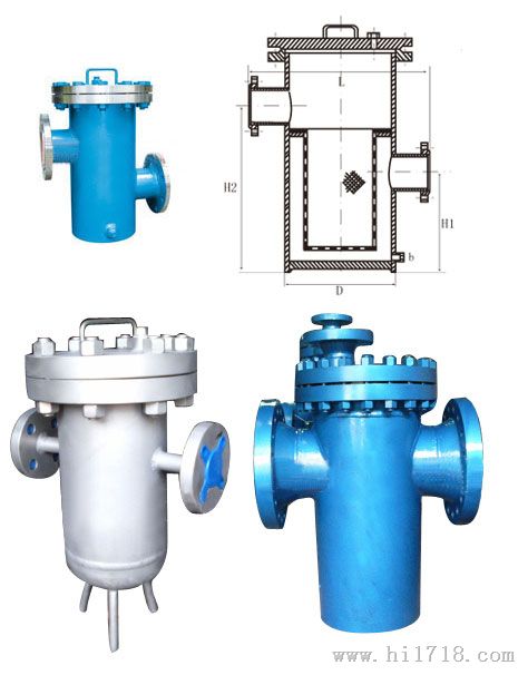 DN100不锈钢蓝式过滤器