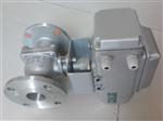 供应EA-20电动执行器，EAE-20电动执行器