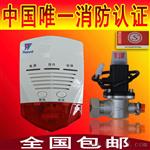 天然气煤气液化气报警器GTII
