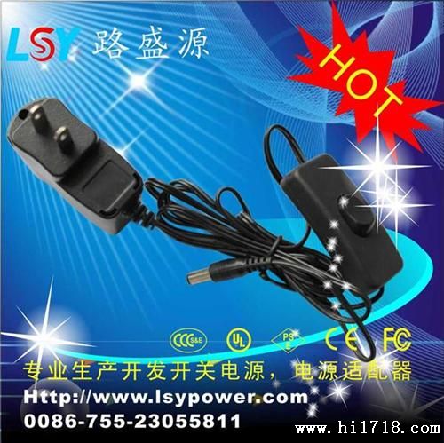 广东厂家热卖12V500mA  6W美规带开关的电源适配器