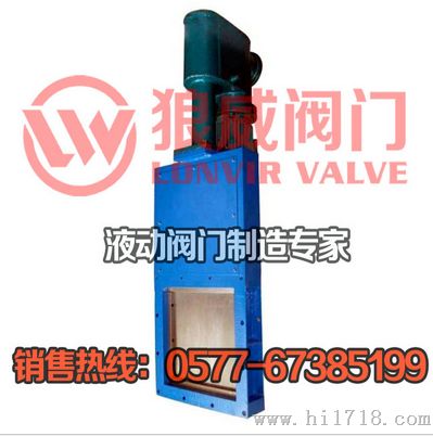 电液动螺旋闸门