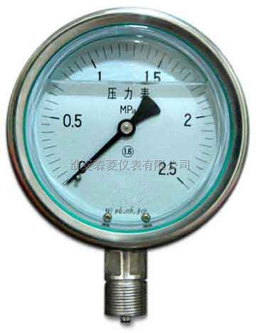 YKC-100B 卫生型压力表