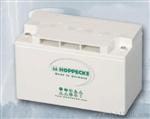 珠海Hoppecke蓄电池power.com HC 121200太阳能与风能系统电瓶