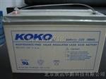KOKO(可可）蓄电池总代理