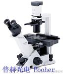 奥林巴斯倒置显微镜CKX3|细胞显微镜