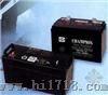 NP100-12系列-免维护铅酸蓄电池12V100AH价格