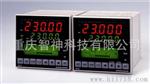 日本岛电（SHIAMDEN）SR23调节器高0.1级,五位显示温控器