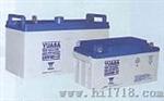汤浅蓄电池12v65AH