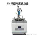 北京大量销售E25微型高压反应釜