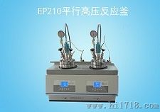 温州大量生产EP210平行高压反应釜