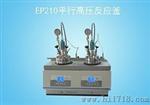 温州大量生产EP210平行高压反应釜