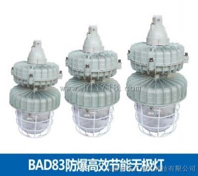 东仁生产BAD83-M防爆灯，免维护节能无极灯（IIC  DIP）