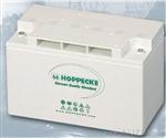 12V130AH蓄电池，荷贝克蓄电池哪里有卖