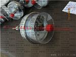 供应WSSX-411电接点双金属温度计