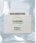 12V80AH蓄电池价格，荷贝克蓄电池代理商