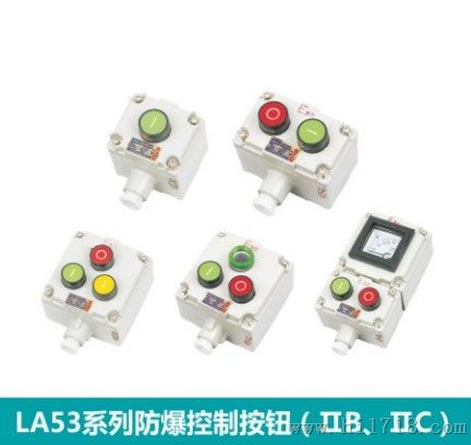 LA53-2D爆控制按钮