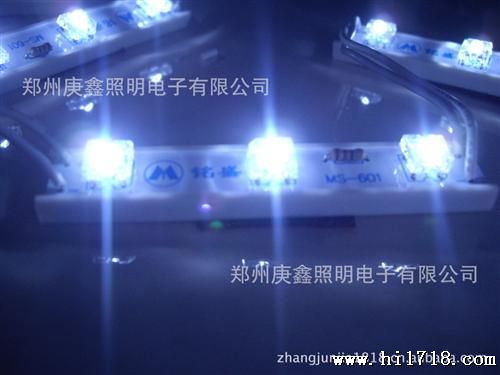 LED模块 食人鱼灯珠 发光字灯 白色