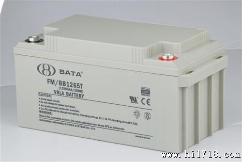 优质】上海蓄电池生产厂家 EPS蓄电池 12V65AH