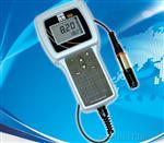 YSI550A-12便携式溶氧仪