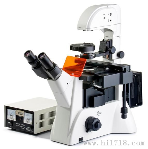 厂方倒置荧光显微镜 XDY-200
