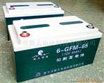供应6-GFM-65铅酸蓄电池(图)