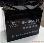 供应6-GFM-65铅酸蓄电池(图)