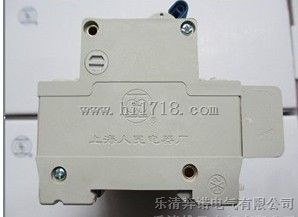 上海人民微断/微型断路器RMC1-63系列批发/制造厂商