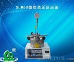 广东大量销售SLM25微型高压反应釜