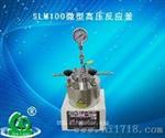 广东大量销售SLM25微型高压反应釜