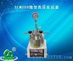 广东大量销售SLM25微型高压反应釜
