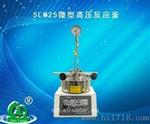 广东大量销售SLM25微型高压反应釜