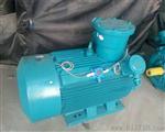 YB2-80M2-4 0.75KW B3爆电机  