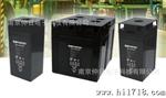 力博特LIBERTY蓄电池12V100AH