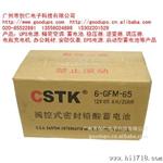 CSTK蓄电池