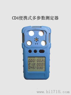 便携式多参数测定器CD4型