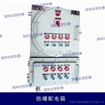 BXK系列爆控制箱(柜