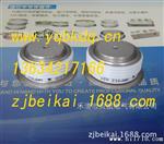 供应POSEICO快速二管ARF360S33