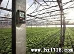 供应德图TTO174H温湿度记录仪