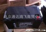 供应CHAMPION(NP65-12)电池