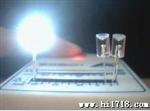 LED发光管10mm白灯  F10亮白色  LED白色亮 物美价廉