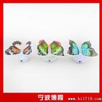 蝴蝶七彩小夜灯 LED小夜灯七彩灯 地摊货源 新奇特 发光玩具批发