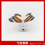 蝴蝶七彩小夜灯 LED小夜灯七彩灯 地摊货源 新奇特 发光玩具批发