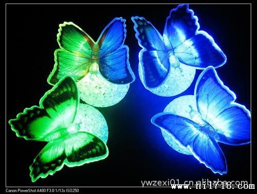 厂家 幻七彩水晶光纤蝴蝶小夜灯 球体蝴蝶 水晶颗粒小夜灯
