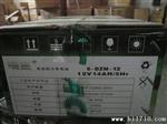 工厂直批瑞星48V12AH免维护密封电动车铅酸蓄电池