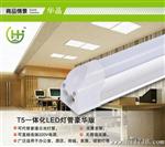 深圳厂家供应 LED日光灯 T5一体式日光管 0.3m  300mm